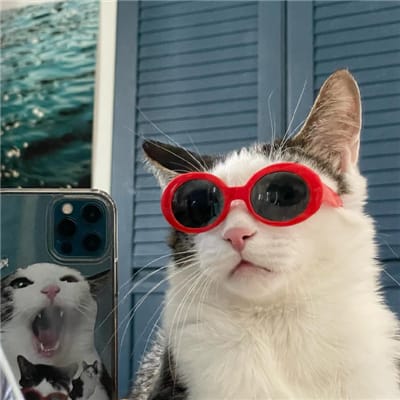 Hendra Setiawan avatar